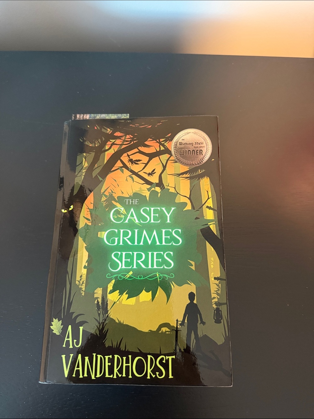 The Casey Grimes Series by AJ Vanderhorst - Green Cover